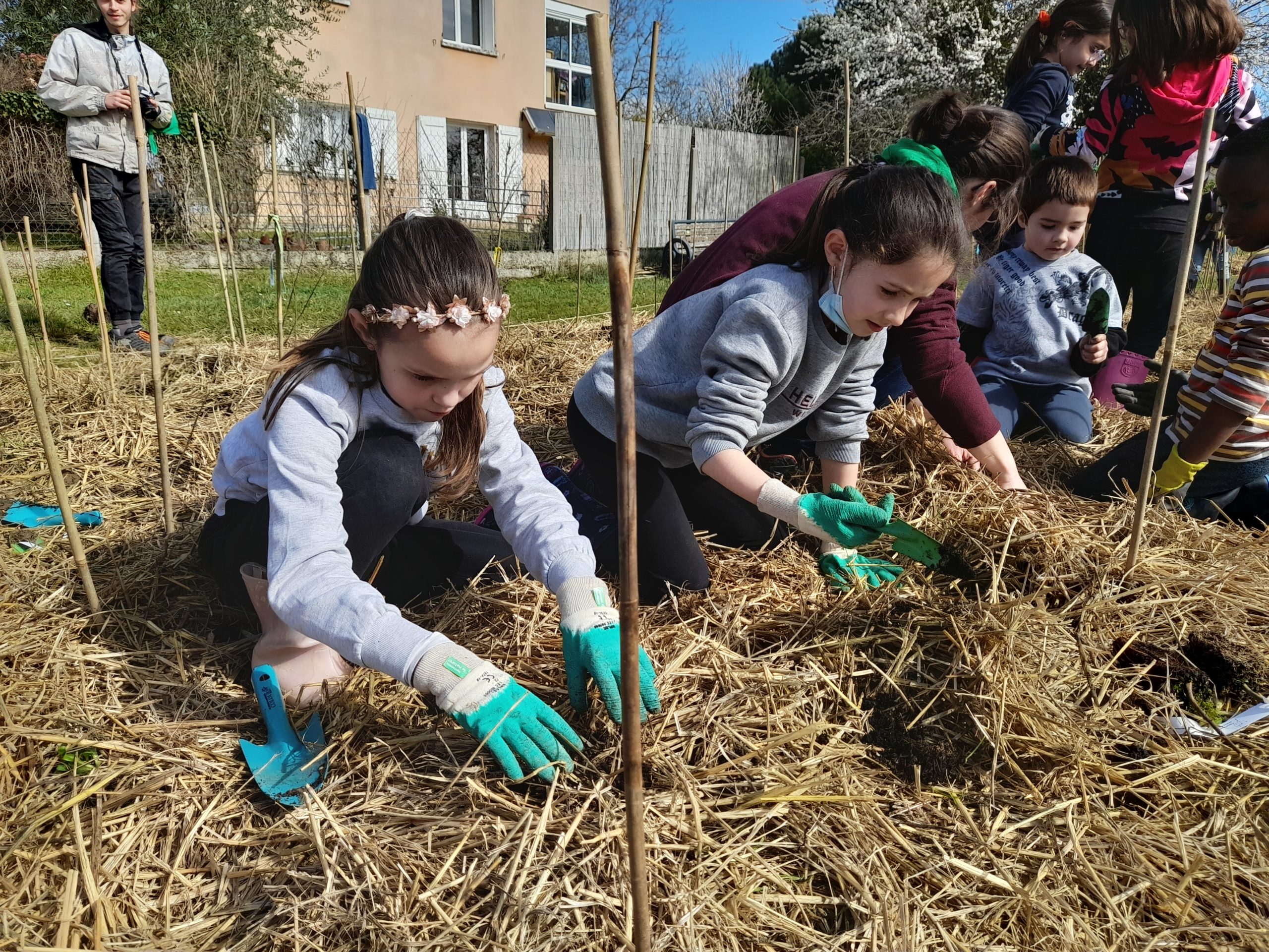 Lire la suite à propos de l’article Des arbres plantés!