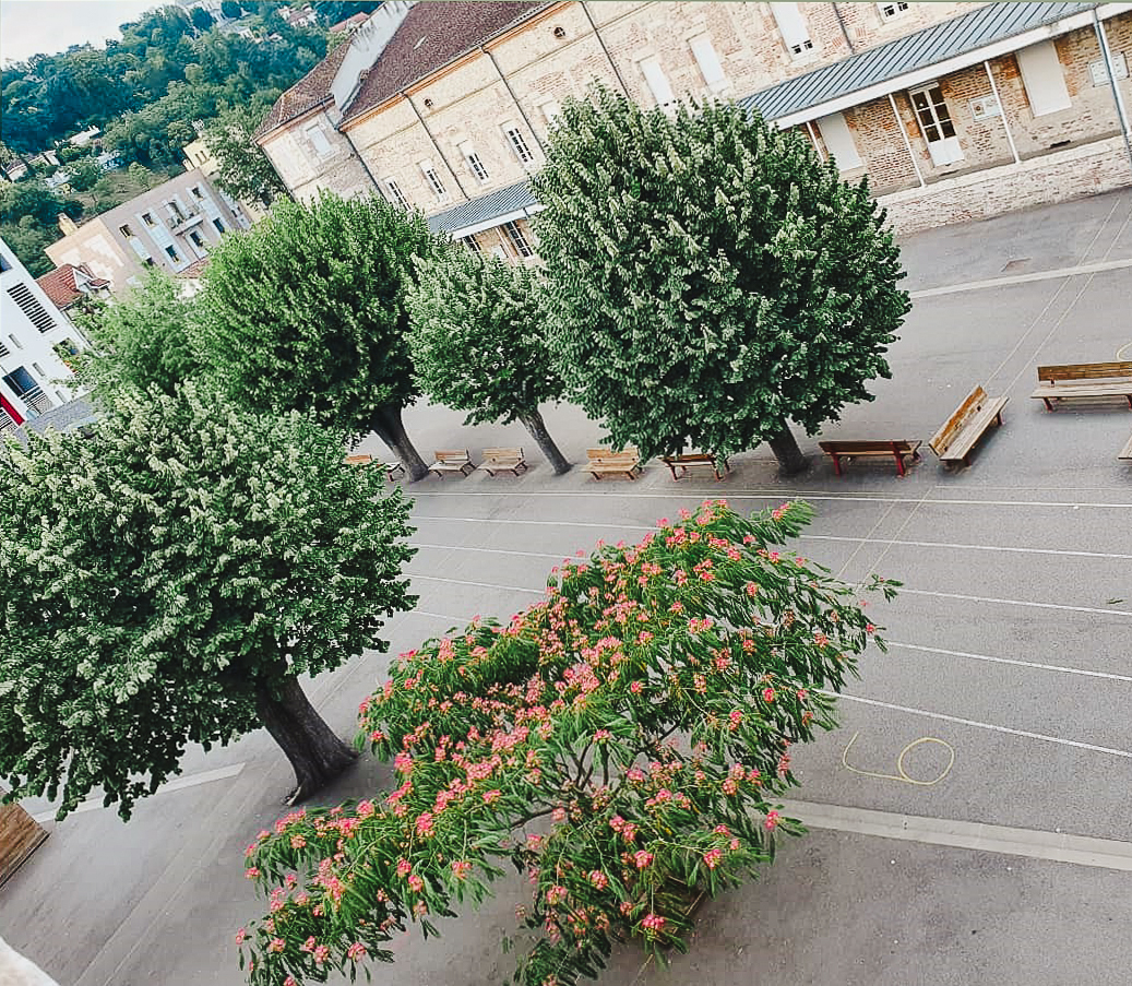 Vue de la cour de l’Institution Adèle de Trenquelléon
